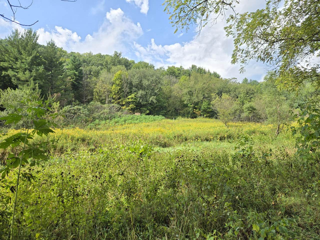 https://bt-photos.global.ssl.fastly.net/milwaukee/1280_boomver_2_1980354-2.jpg