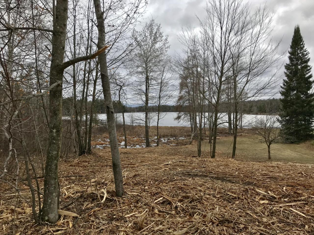 Lt 0 White Birch Rd - Photo 1
