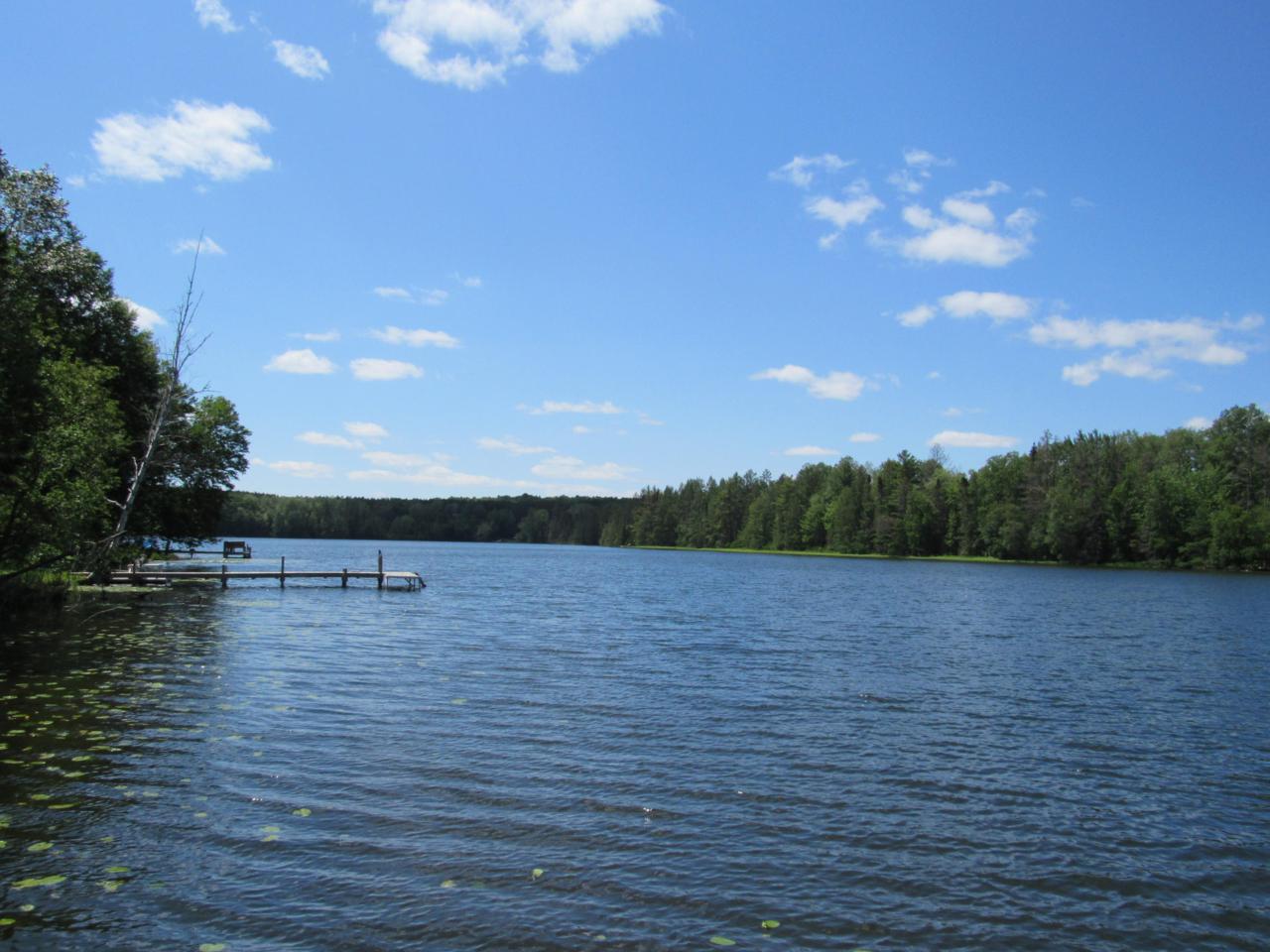10312 Porcupine Lake Rd - Photo 1