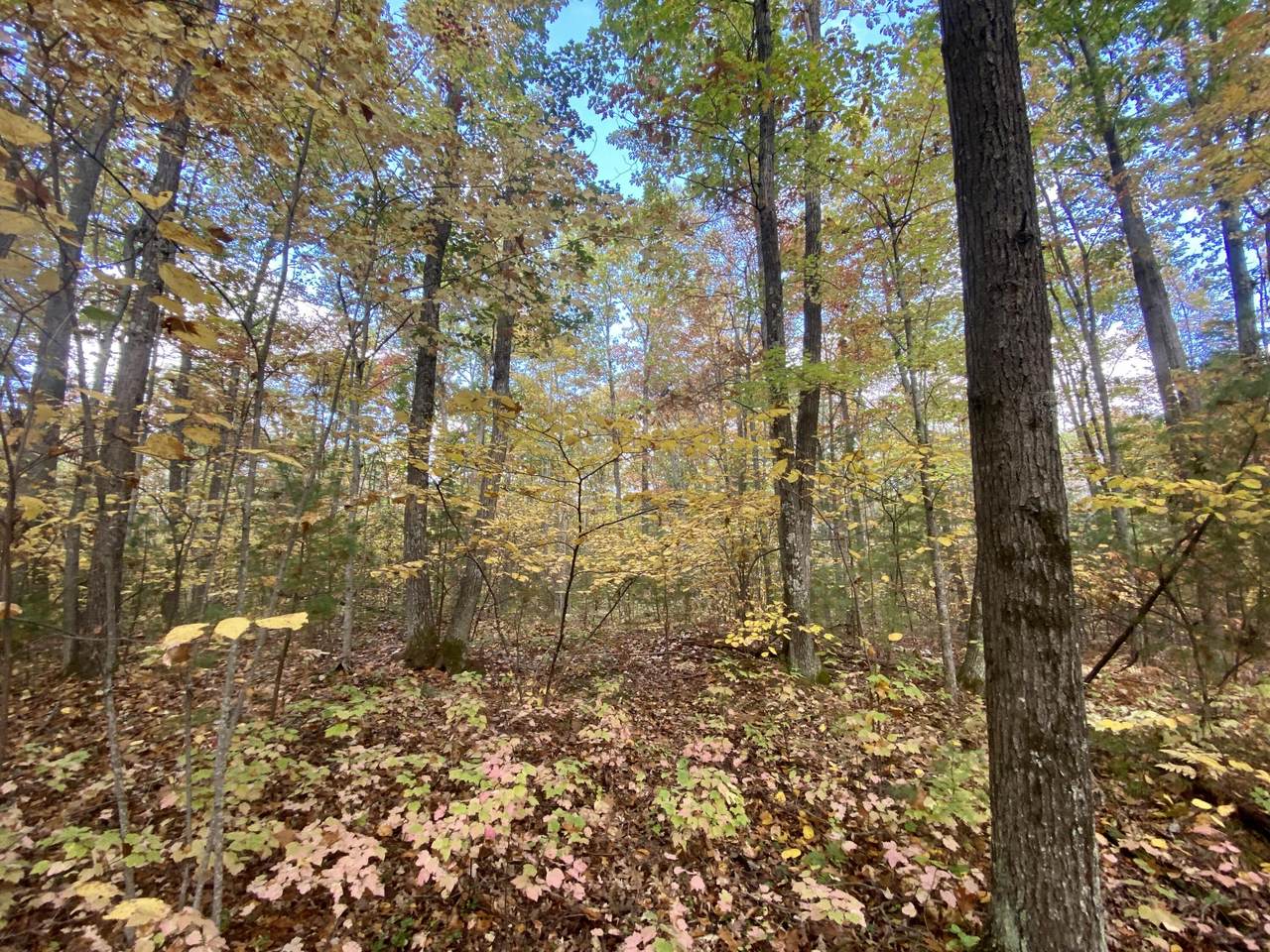 36.48 Ac State Highway 180 - Photo 1