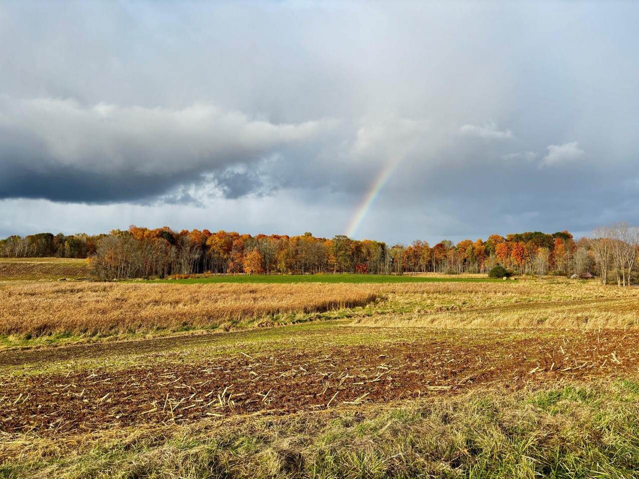 Lt1 Garton Rd - Photo 1