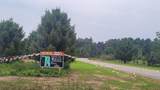 Lt11 Radar Rd - Photo 5