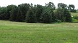 LOT 42 Crossing Meadows Dr - Photo 3