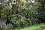 Lt15 Royal Glen Ct - Photo 2