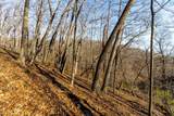 6602 Booth Hollow Rd - Photo 21