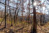 6602 Booth Hollow Rd - Photo 30