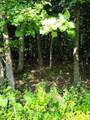 1150 Logwood Ct - Photo 89