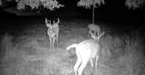 0 County Rd Jj - Photo 10