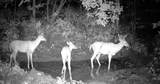 0 County Rd Jj - Photo 13