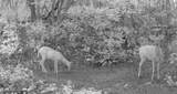 0 County Rd Jj - Photo 16