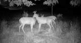 0 County Rd Jj - Photo 19