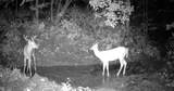0 County Rd Jj - Photo 22