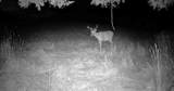 0 County Rd Jj - Photo 34
