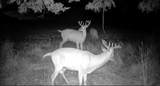 0 County Rd Jj - Photo 37