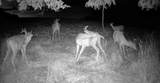 0 County Rd Jj - Photo 49