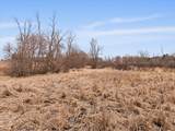 Lt0 Orth Dr - Photo 11