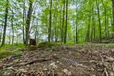 Lt0 Sugarbush Rd - Photo 40