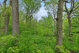 Lt0 Sugarbush Rd - Photo 44