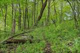 Lt0 Sugarbush Rd - Photo 46