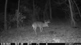 0000 Korthals Ln - Photo 24