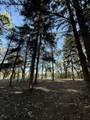 Lt2 Wolf Dr - Photo 9