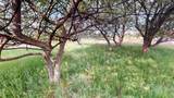Lt10 Rawley Ct - Photo 19