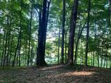 Lot 2 Sleepy Hollow Rd - Photo 18