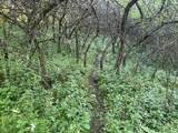 Lot 2 Sleepy Hollow Rd - Photo 29