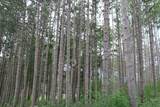 7855 Indian Lore Rd - Photo 1