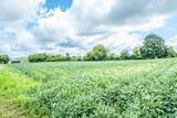 Lt1 Town Line Rd - Photo 6