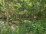 Lt1 Carstens Lake Rd - Photo 7
