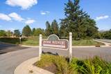 2135 Pine Ridge Ct - Photo 19