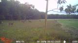 N2179 Schalk Rd - Photo 36
