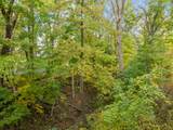 Lt17 Green Hill Dr - Photo 12