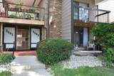 8643 Servite Dr - Photo 14