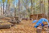Lt1 Kasmer Rd - Photo 16