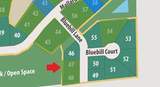 Lt47 Bluebill Ln - Photo 1