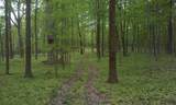 Lt1 Blue Goose Rd - Photo 10