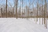 Lt1 Blue Goose Rd - Photo 6