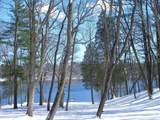 W3895 Timber Lake Rd - Photo 11