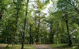 W3895 Timber Lake Rd - Photo 59