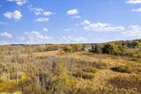 9083 Fillmore Rd - Photo 55