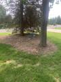 6349 Nabob Dr - Photo 26