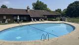 8641 Servite Dr - Photo 15