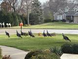 15245 Woodland Dr - Photo 64