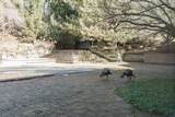 8263 River Rd - Photo 35