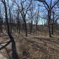 801 Teutonia Dr - Photo 10