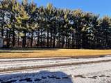 403 Trail Of Pines Ln - Photo 5