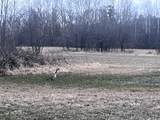 Lt2 Virginia Dr - Photo 1
