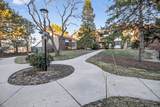 8629 Servite Dr - Photo 21
